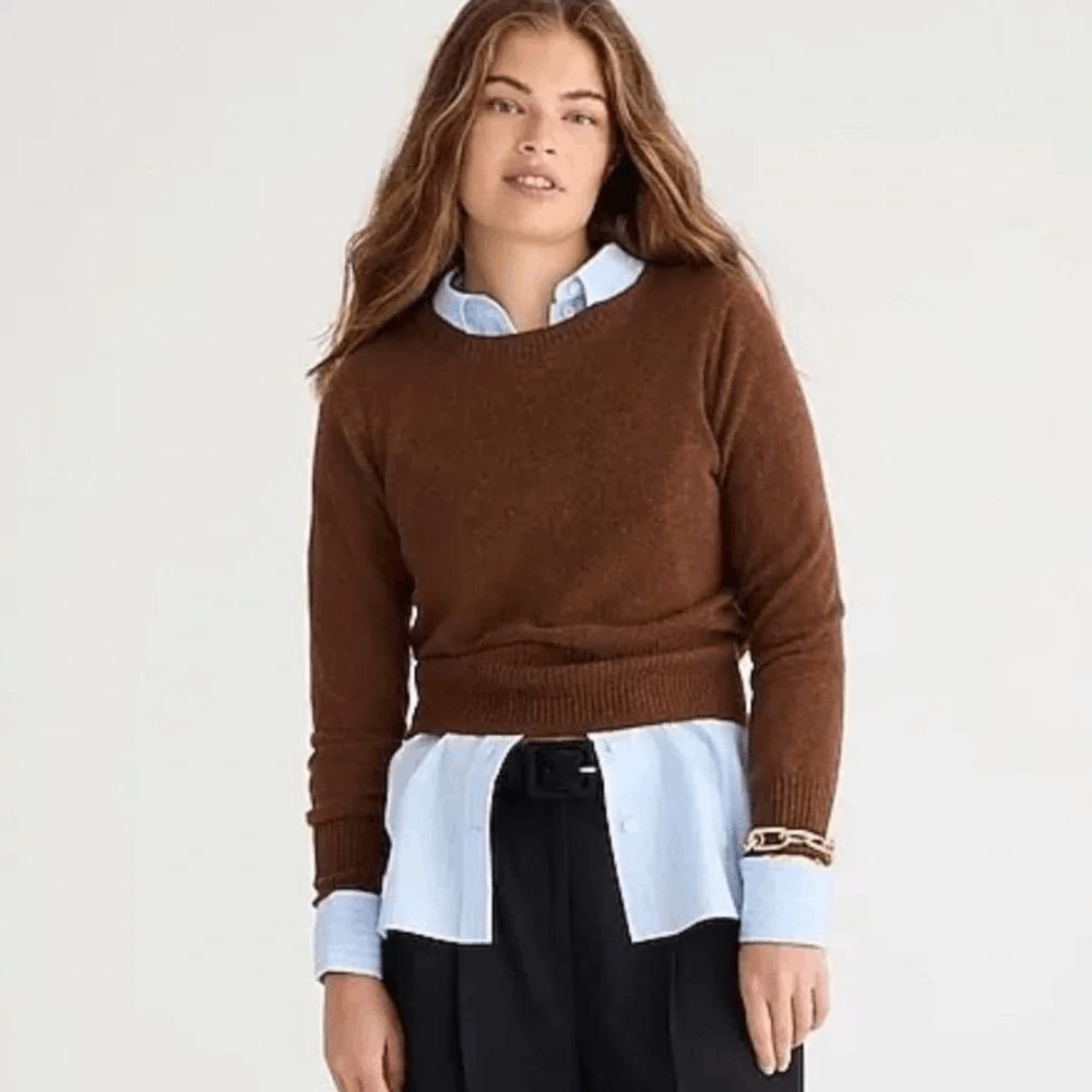 J.Crew Brown Cashmere Shrunken Knit Crewneck Cropped Sweater Women's Size Medium